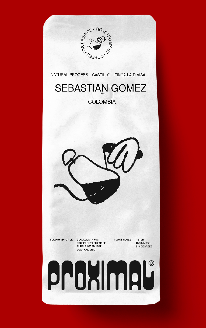 Colombia Sebastian Gomez Natural Process Castillo Varietal