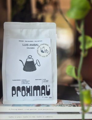 Colombia Luis Anibal Villa Betulia Washed Pink Bourbon