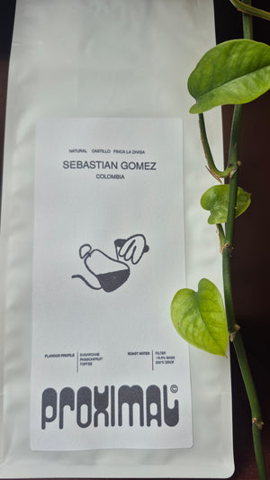Colombia Sebastian Gomez Natural Process Castillo Varietal
